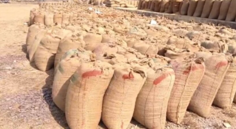 धान खरीदी में किसानों को बड़ी राहत: 5-6 फरवरी तक अतिरिक्त समय, हजारों को होगा लाभ