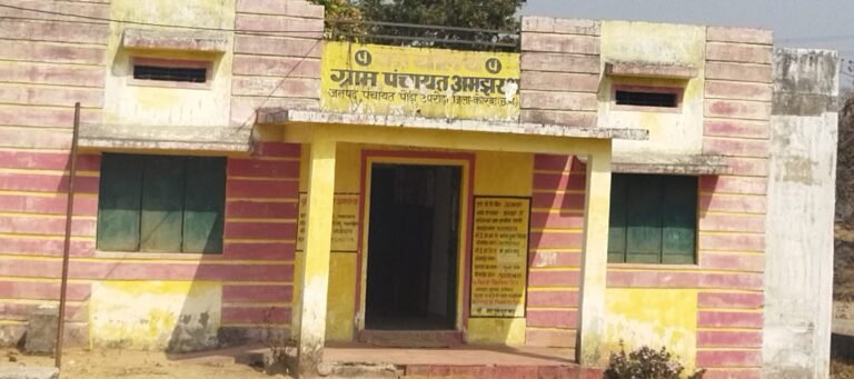 कोरबा: ग्राम पंचायत अमझर में आरटीआई उल्लंघन का मामला उजागर, आवेदक ने मुख्य कार्यपालन अधिकारी से मांगी सख्त कार्रवाई